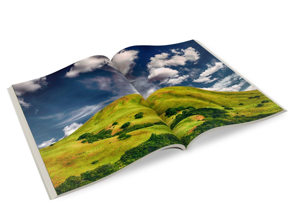 brochure design